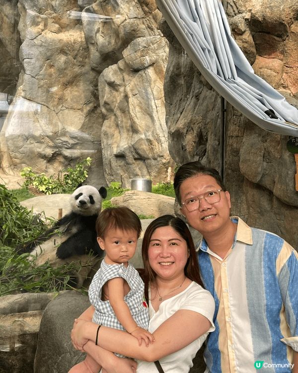 香港海洋公園之所以成為熱門的「打卡」好去處，是因為它完美融合...