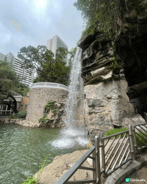 這張照片拍下了香港公園壯觀的瀑布，在宏偉的摩天大樓包圍下，這...