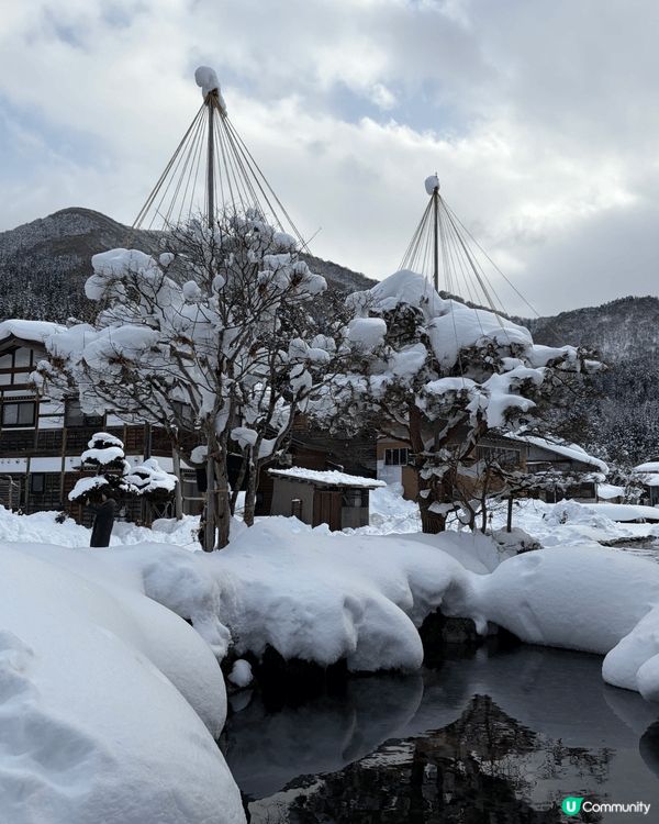 白川鄉合掌屋；冬天雪期打卡一流，不一定要晚上亮燈才好看，白天...