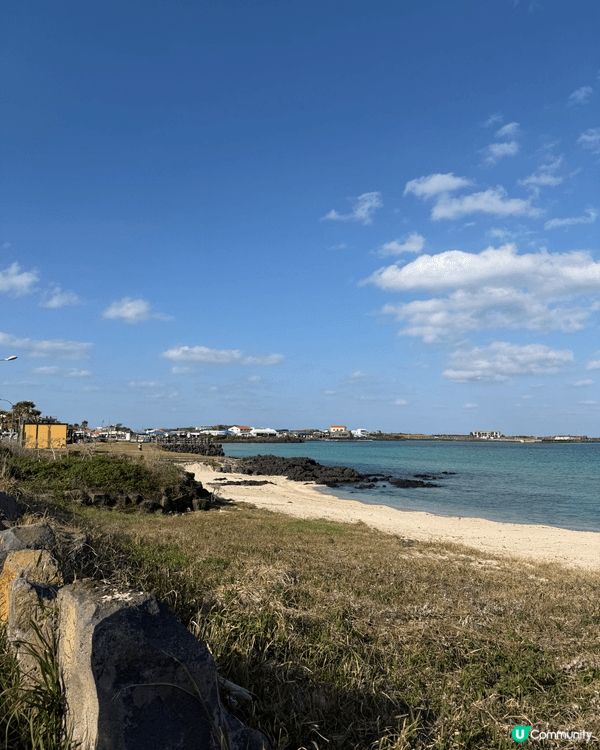 以上是濟洲島牛島，以及一間沿海的豬扒店。推薦原因是牛島的環境...
