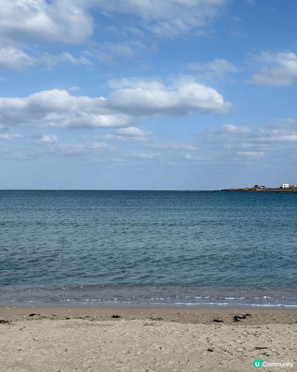 以上是濟洲島牛島，以及一間沿海的豬扒店。推薦原因是牛島的環境...