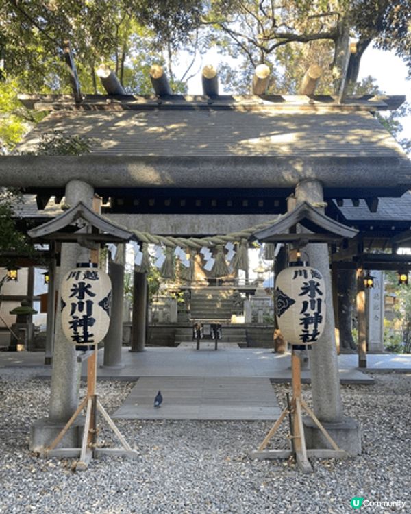 喜歡到不同的神社、寺廟打卡，不同的角落，都有各自所隱藏的特色...