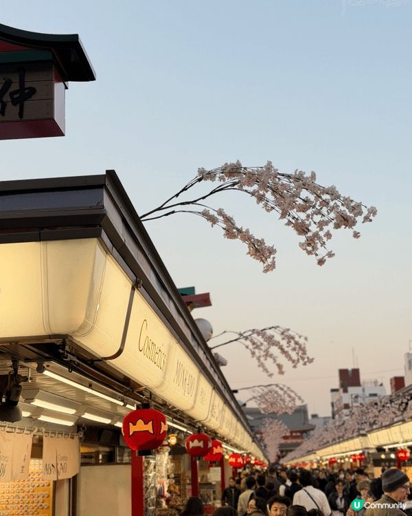 很喜歡傍晚去淺草寺，因為沒有「人山人海」，也是另一種的「美」...