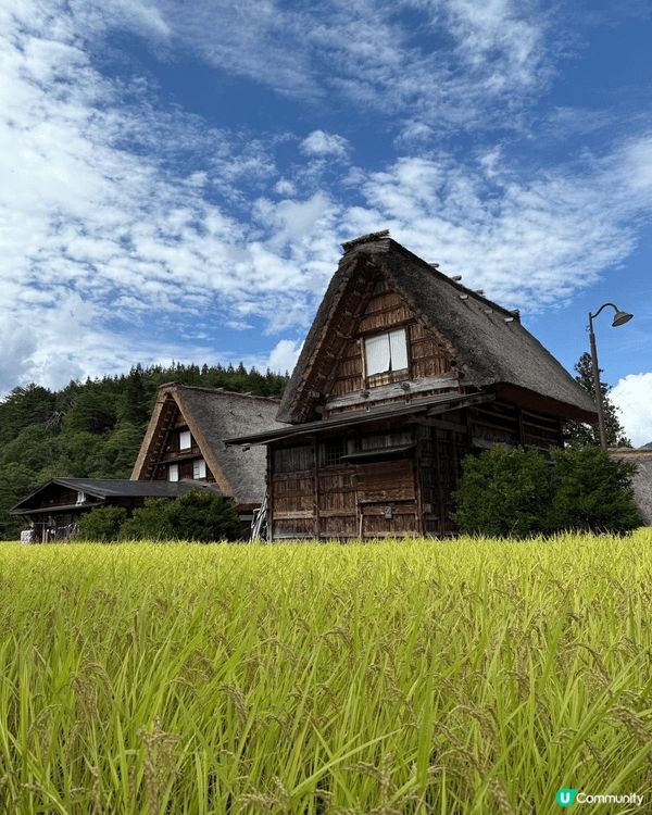 名古屋白川鄉合掌村, 立山黑部絕美景色