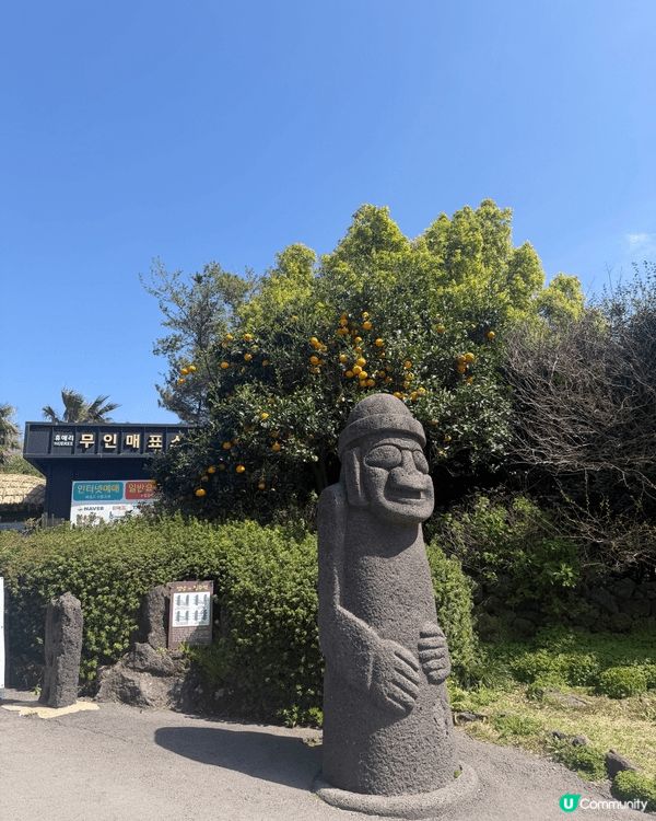 濟州-園內種滿季節花卉，步道整潔易行，配有打卡裝置同小型雕塑...