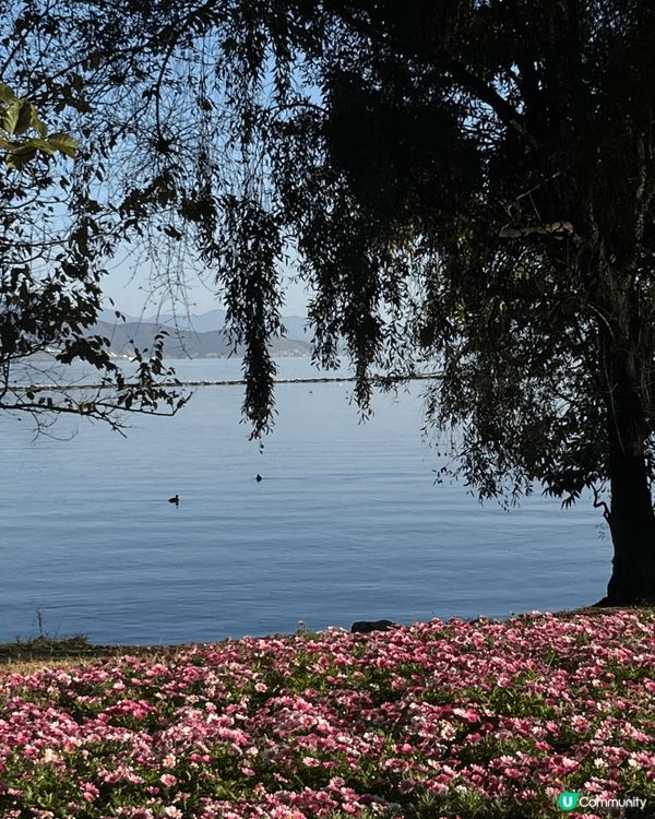 我想推介的旅遊地點是雲南洱海，這裏風景十分優美，海水很清澈，...