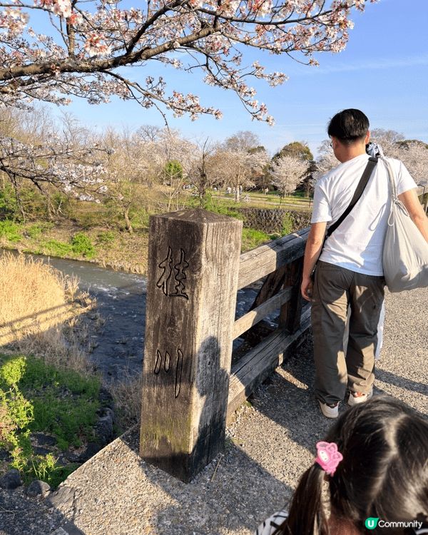 去京都嵐山玩，「渡月橋」絕對係必去嘅靈魂景點！呢條橫跨桂川嘅...