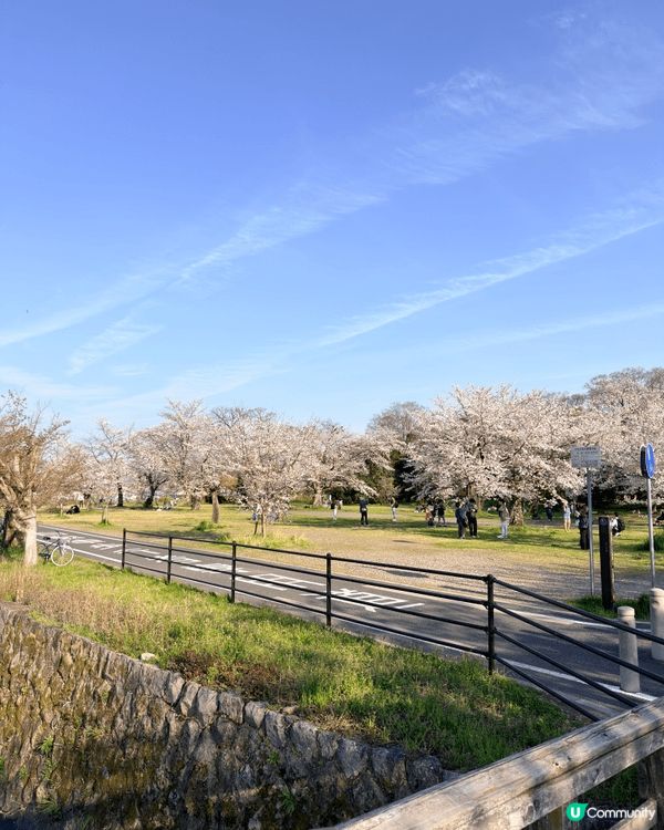 去京都嵐山玩，「渡月橋」絕對係必去嘅靈魂景點！呢條橫跨桂川嘅...