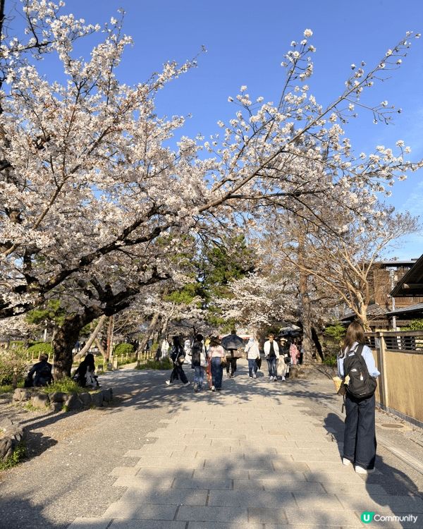去京都嵐山玩，「渡月橋」絕對係必去嘅靈魂景點！呢條橫跨桂川嘅...