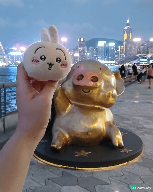 係尖沙咀海旁同麥兜一齊觀星，一邊食住大pizza欣賞美麗嘅維...