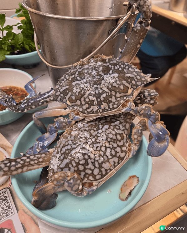 去香港嘆海鮮美食