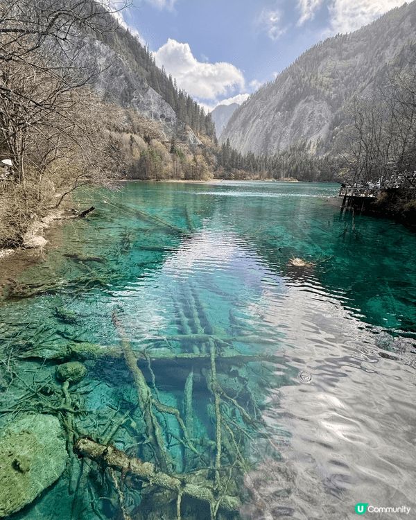 這裡是九寨溝的美景，水清見底、層次豐富的寶石色澤如詩如畫，沉...