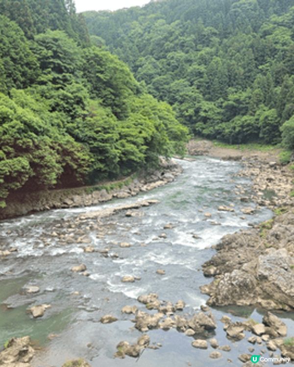 坐着京都的巍峨小火車，沿路看着美麗的風景，很值得去遊遊！！