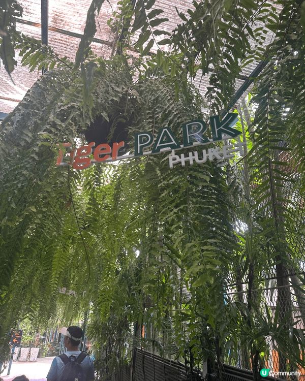 Phuket Tiger Park