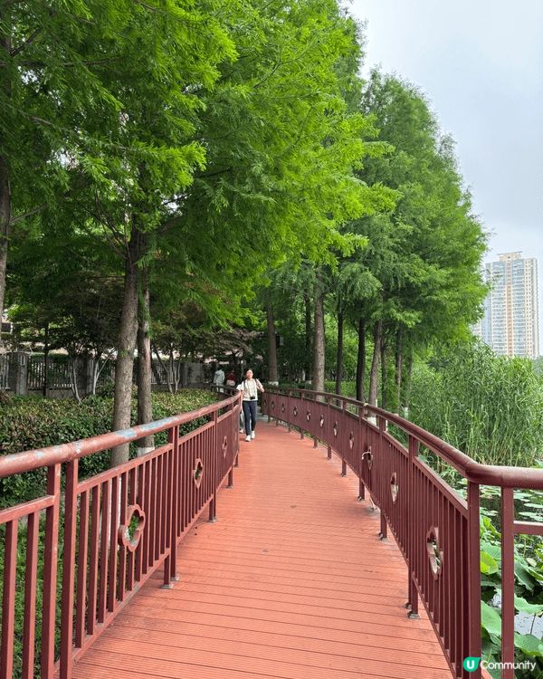 莫愁湖公園係南京一個非常之著名嘅公園，講一位叫做莫愁嘅女子嫁...