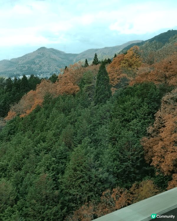 這次天橋立一日遊，很值得來體驗吊椅纜車、美景、騎腳踏車、伊根...