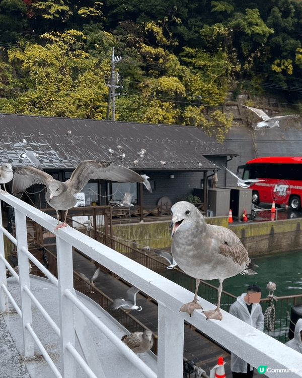 這次天橋立一日遊，很值得來體驗吊椅纜車、美景、騎腳踏車、伊根...