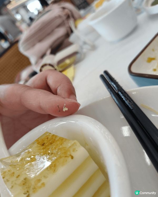舊日長途客運站搖身一變，成了湘宇商業廣場🏬，第一次嚟呢度嘆早...