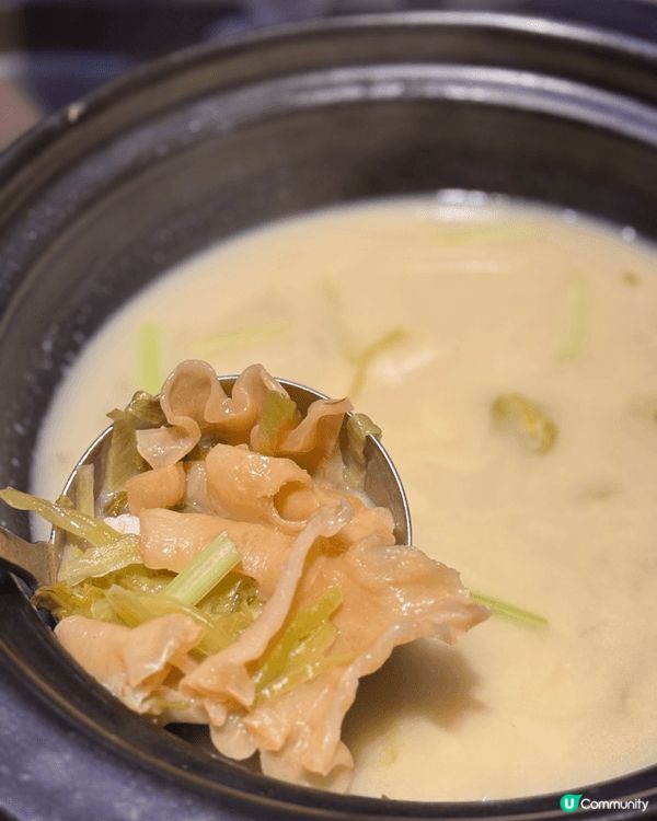 #尖沙咀聚會天花板✨TVB星級中菜真實食評🥹
