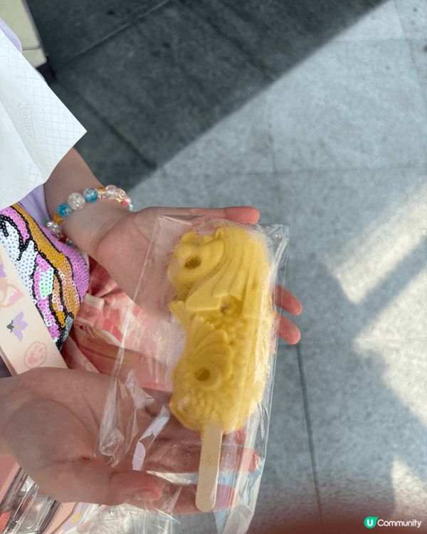 這是帶小朋友去新加坡時拍攝的照片，地標必定是魚尾獅了！小朋友...