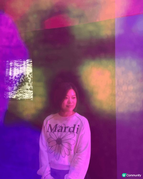 台灣蜷村實花展覽大開眼界沉浸式體驗