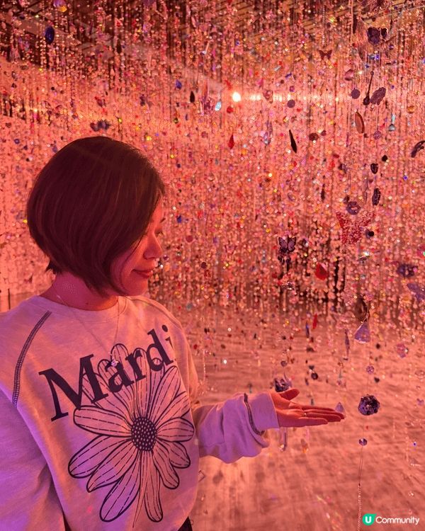 台灣蜷村實花展覽大開眼界沉浸式體驗