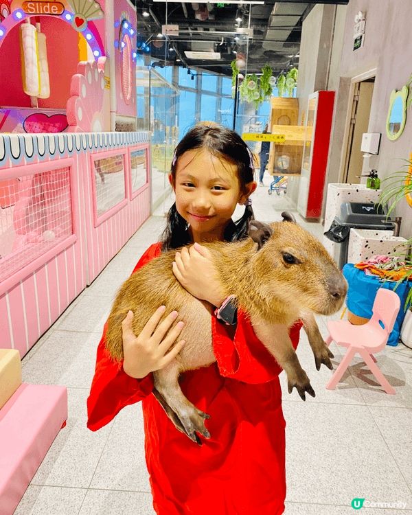 深圳 Lollypet 萌寵樂園（中航城君尚店）絕對是治癒首...