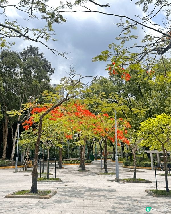 香港最高既大廈唔只100層，位置香港九龍站，飽覽整個維多利亞...