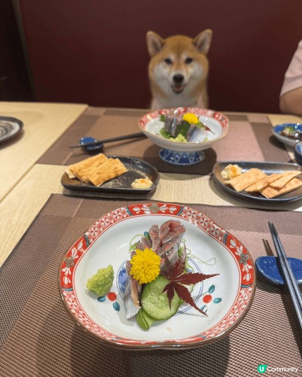同小矇一齊食Omakase🇯🇵٩(˃̶͈̀௰˂̶͈́)و