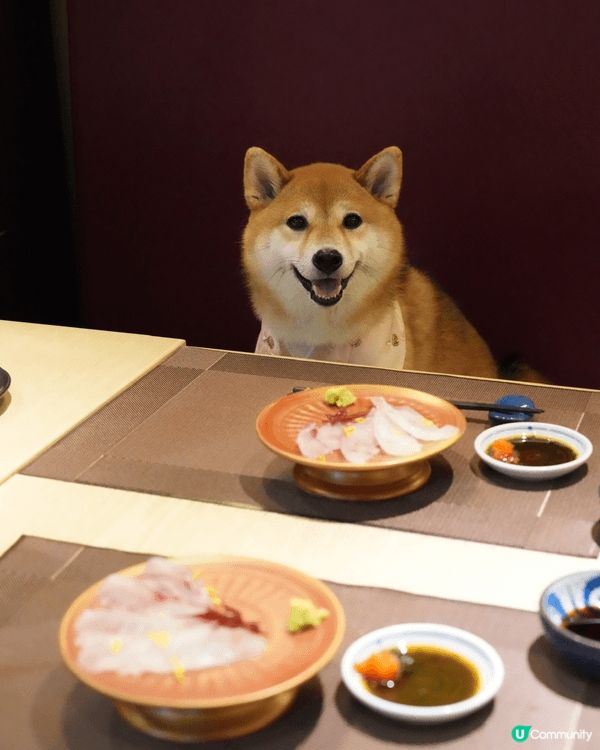同小矇一齊食Omakase🇯🇵٩(˃̶͈̀௰˂̶͈́)و