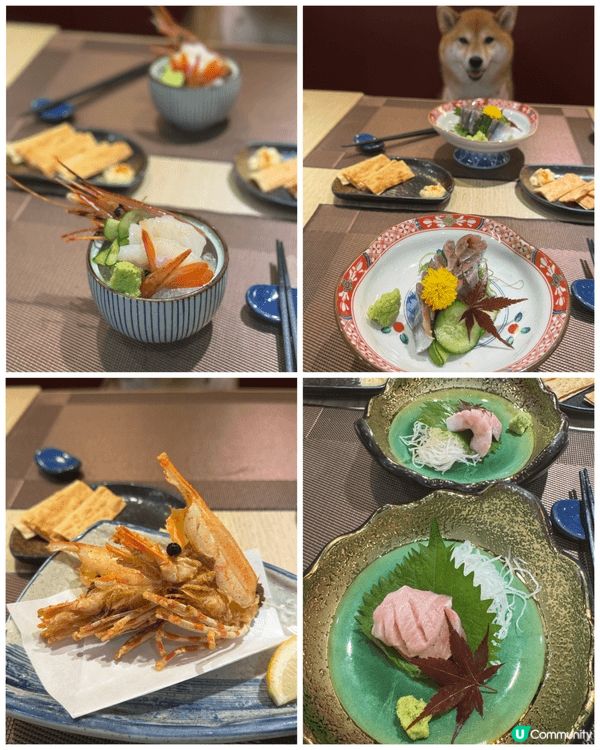 同小矇一齊食Omakase🇯🇵٩(˃̶͈̀௰˂̶͈́)و