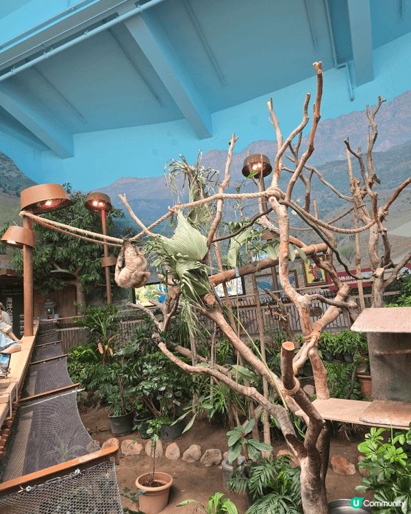 ocean park, 可以逛街可以觀賞海洋生物，非常經典既...