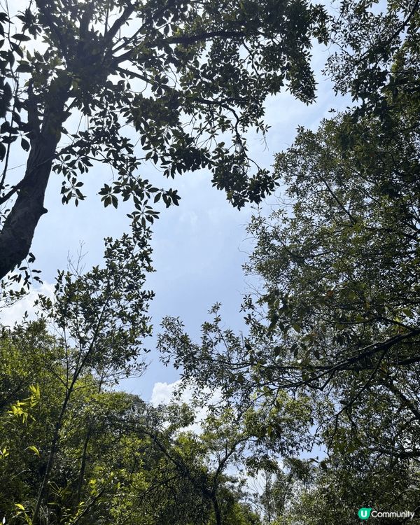 假日行山推薦去千湖島清景台⛰️，新手都適合行係一個打卡好去處...