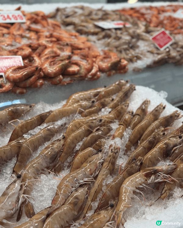 悉尼終極海鮮天堂🌊 Fish Market真的太治癒了！