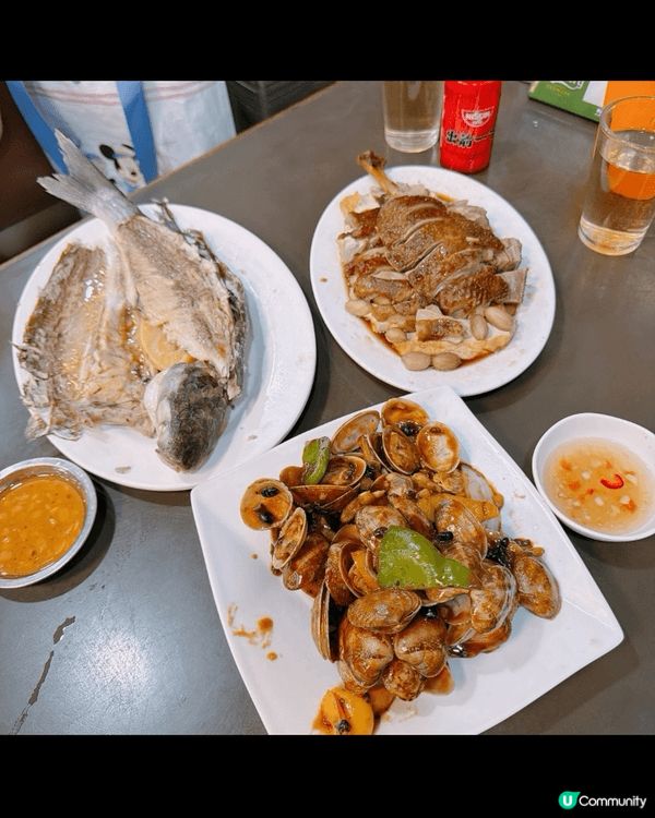 想一次過滿足三個願望？旺角「貓啡」有得食又有得玩，仲可以做善...