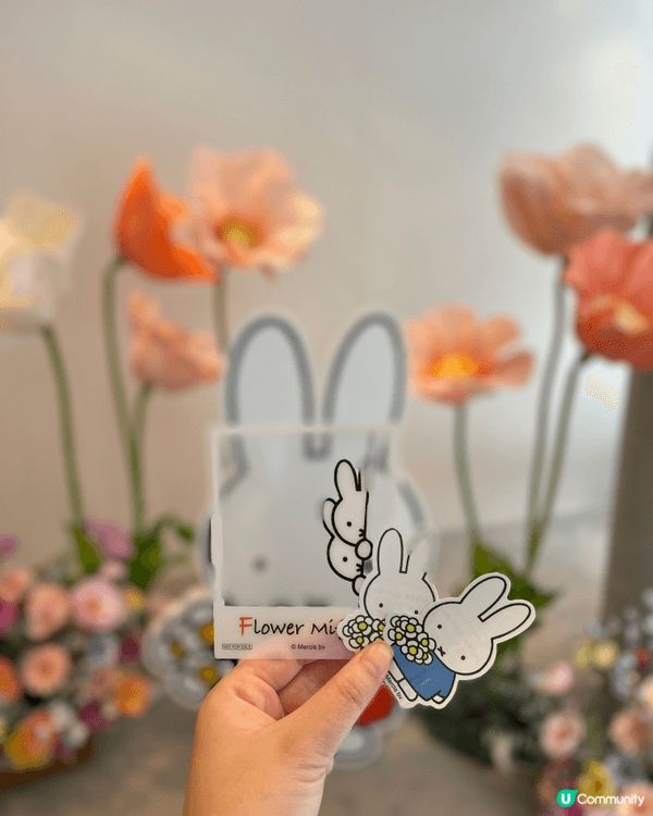 香港Flower Miffy 的pop up 店，仔細拍了店...