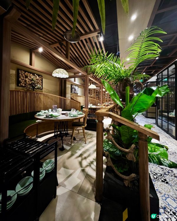 深圳椰子雞天花板