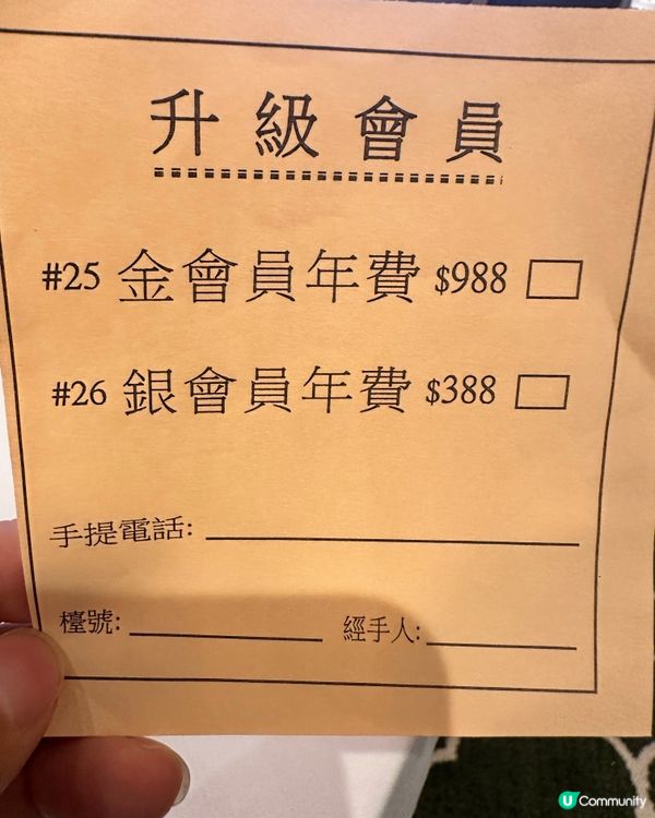 炮台山英皇道｜中午茶滿意👍