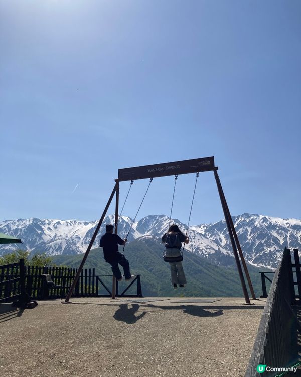 雪山🏔️五月花海🌺夢幻白馬岳！