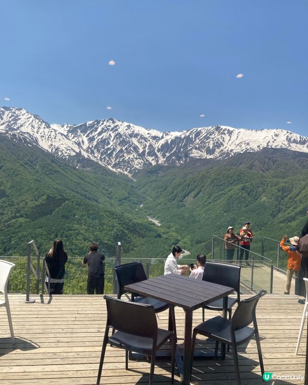 雪山🏔️五月花海🌺夢幻白馬岳！