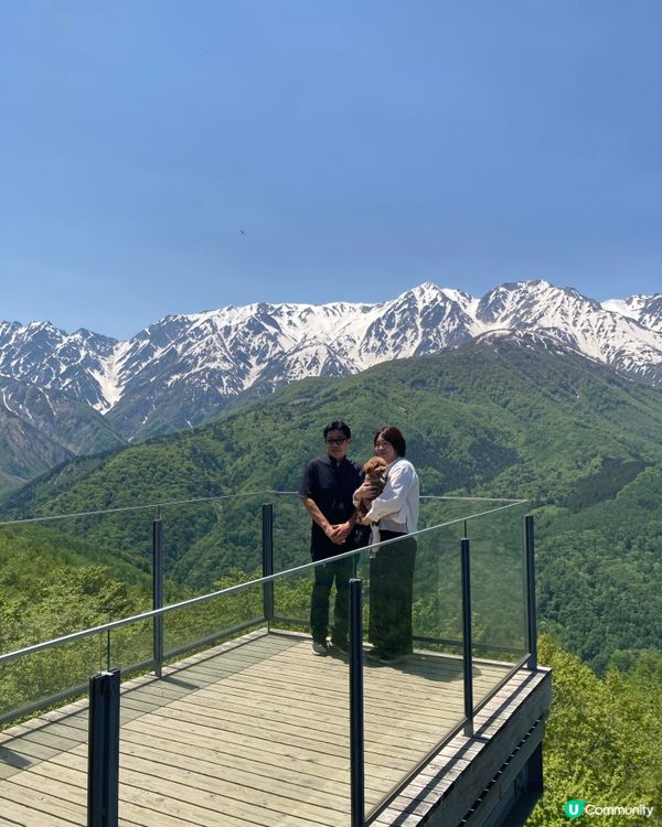 雪山🏔️五月花海🌺夢幻白馬岳！