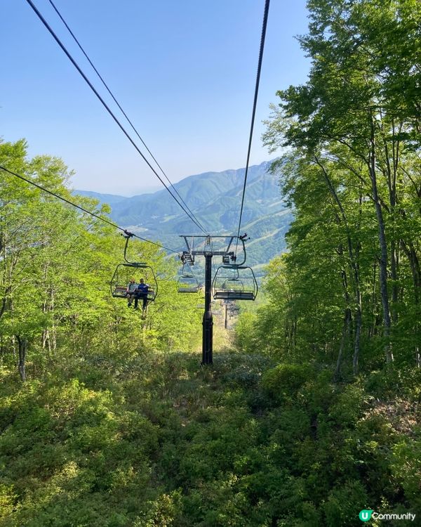 雪山🏔️五月花海🌺夢幻白馬岳！
