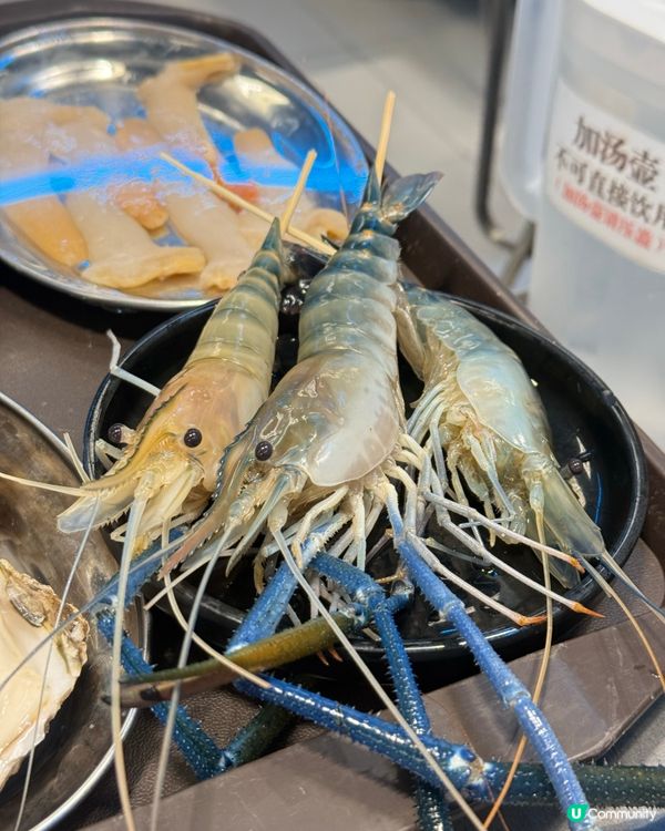 ｢現撈現煮的海鮮😋平、新鮮，服務超好🫶🏻｣