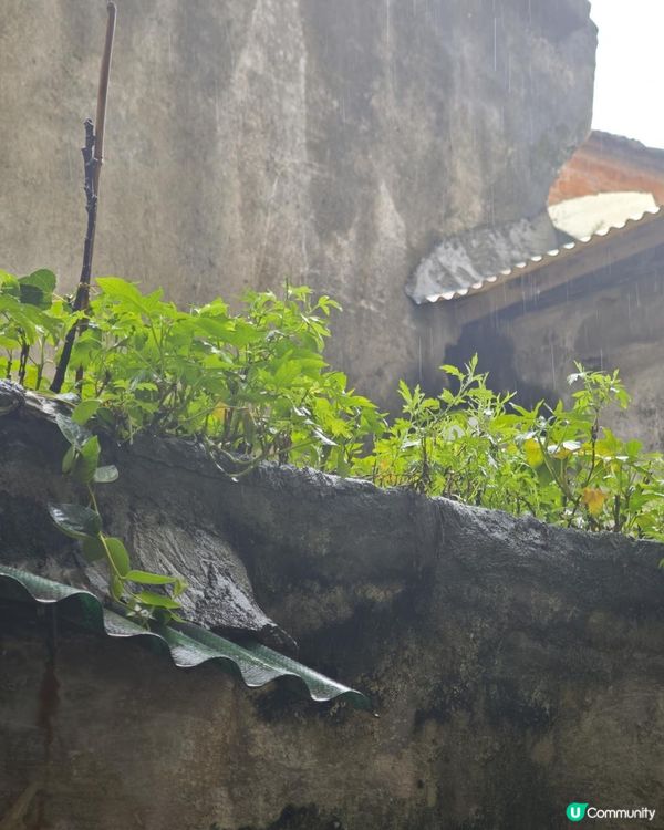 佛山祖屋的百年記憶