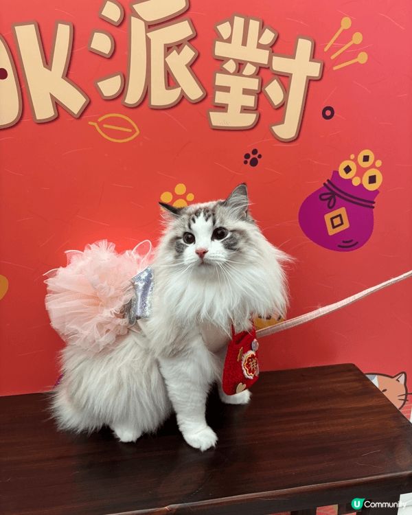 商場打卡