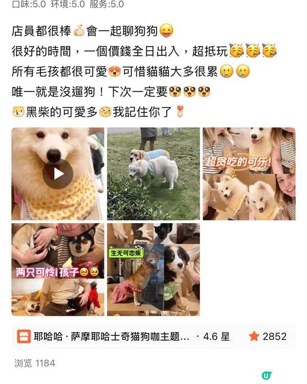 最近沒有喔，如果通過了，會到處打卡😍😍