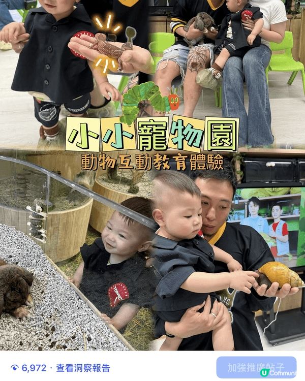爸爸媽媽帶咗我去My Mini Zoo小小寵物園🦎🐹！