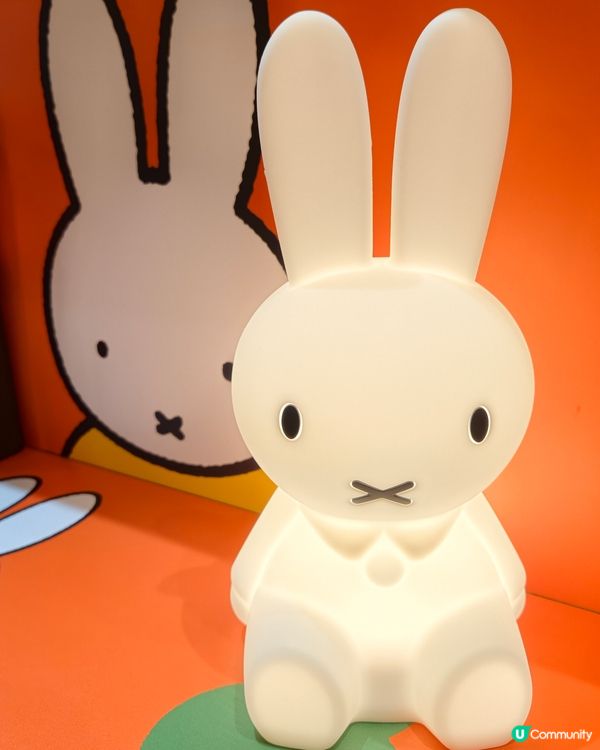 富山麵家癲左 🐰🍜