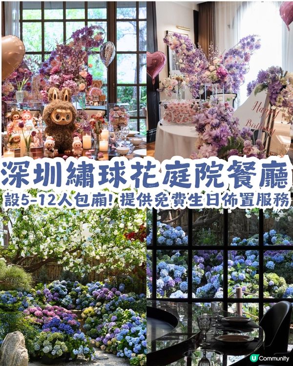 深圳繡球花庭園餐廳🌸設多種包廂、免費生日佈置🎂