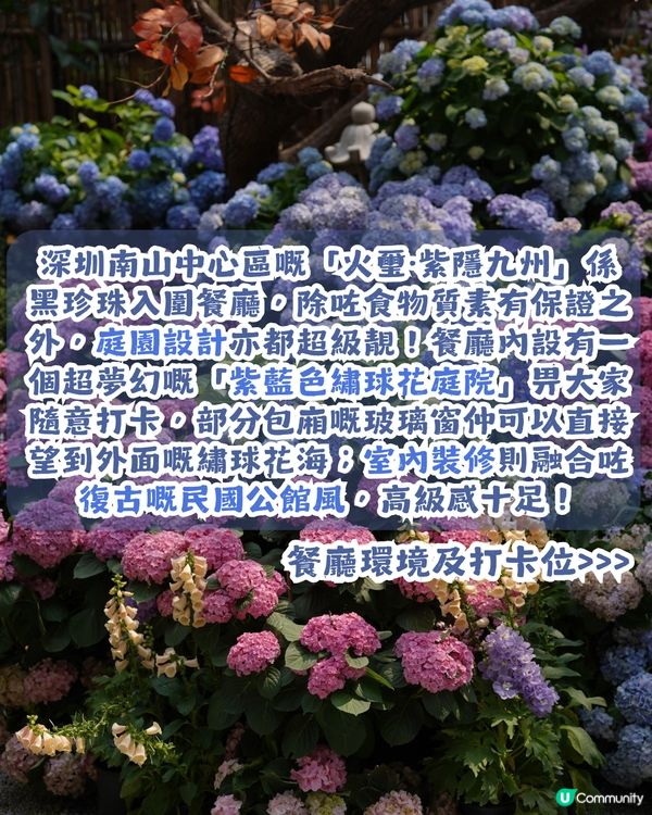 深圳繡球花庭園餐廳🌸設多種包廂、免費生日佈置🎂